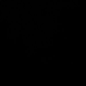 Meet your Posher, Kay